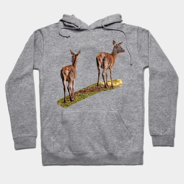 A walk in the park Hoodie by dalyndigaital2@gmail.com